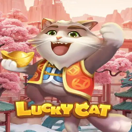 Discover the World of LuckyCat